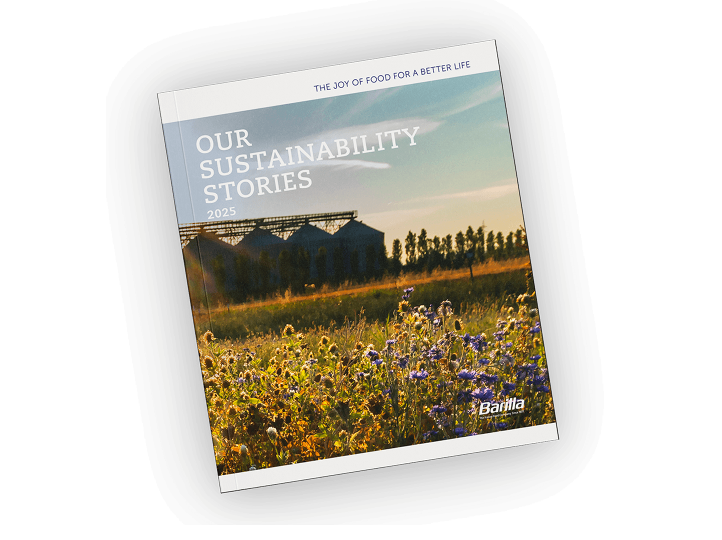 Stories icon 2025