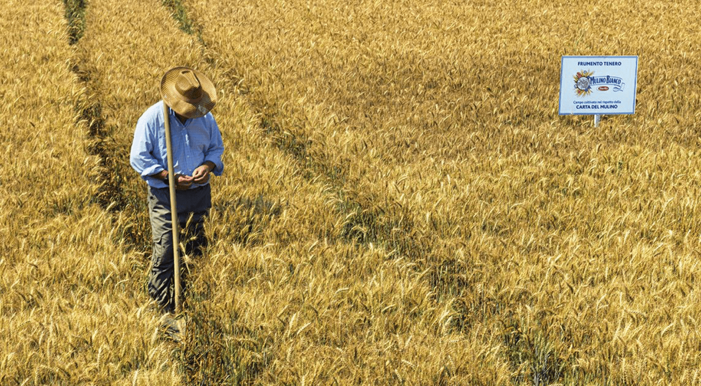 Prestiamo molta attenzione all'agricoltura
