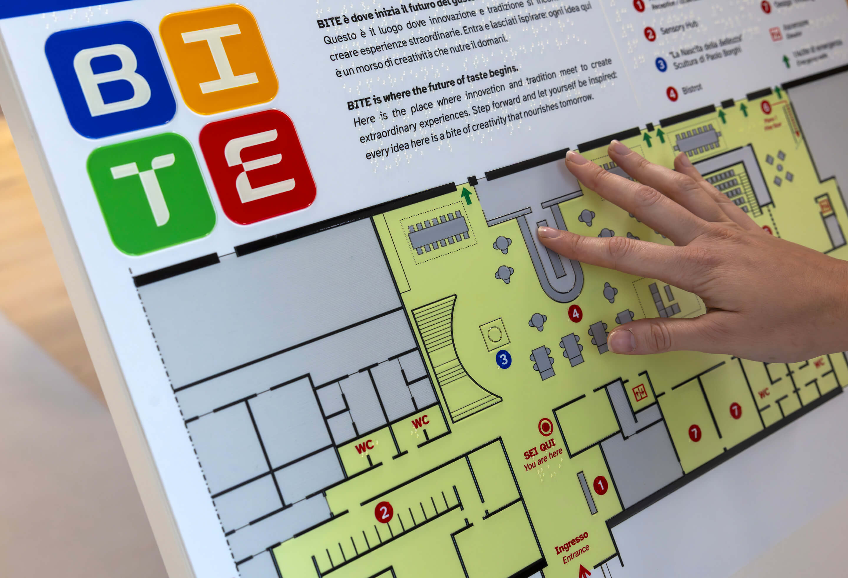 Where inclusion takes shape