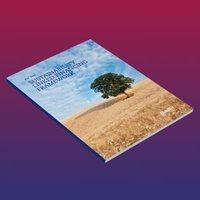 Sustainability Linked Financing Framework