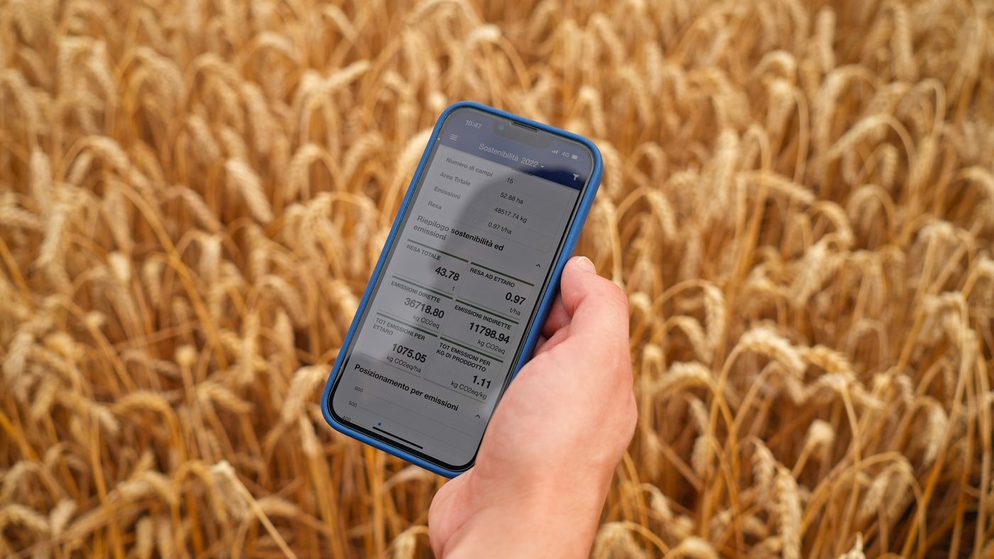 cellulare in primo piano con spighe sullo sfondo