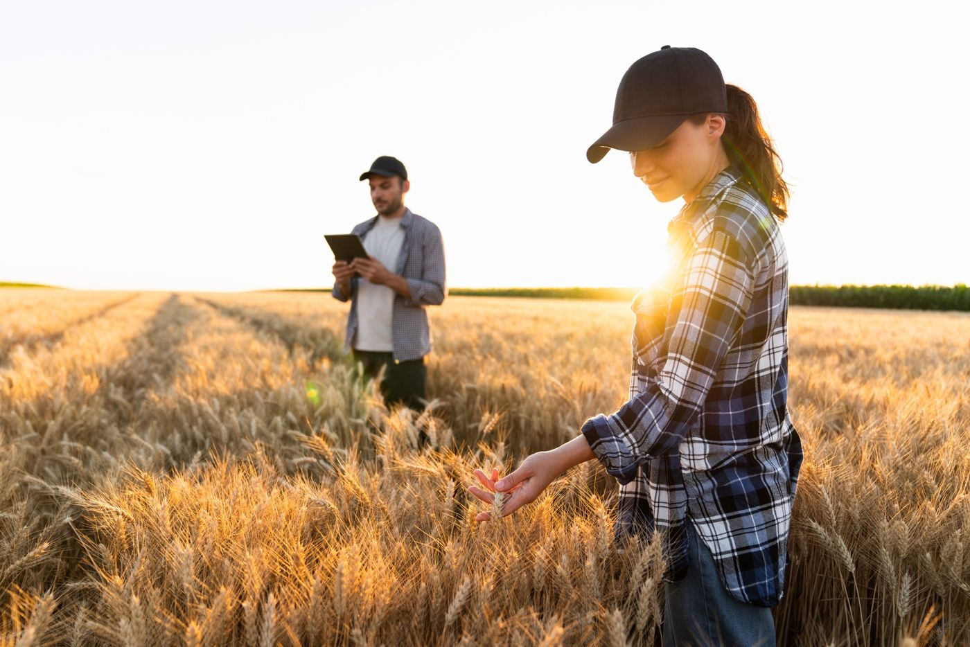 uomo in mezzo a un campo di grano